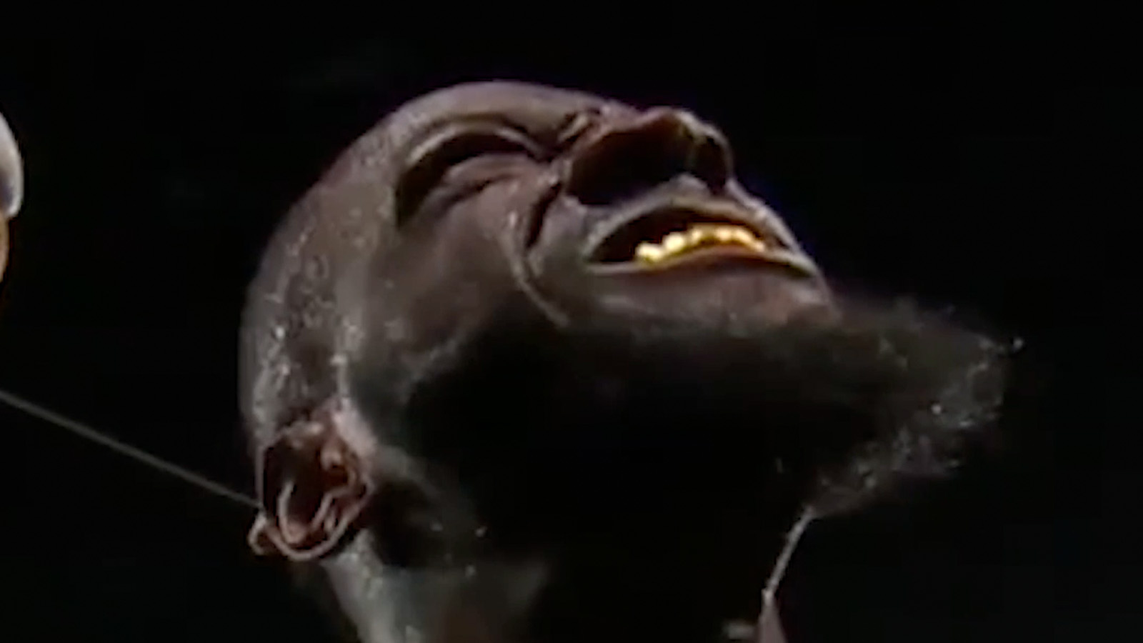 Describe the thumbnail